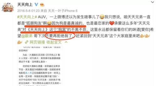 娱乐圈爆料顺序怎么看啊,幕后真相大起底  第2张